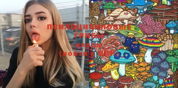 спиды Бугульма