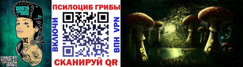 Купить закладки  Старая Купавна  Галлюциногенные грибы прущие грибы 